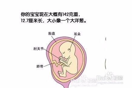 孕妇内衣怎么选择 如何把握选购重点