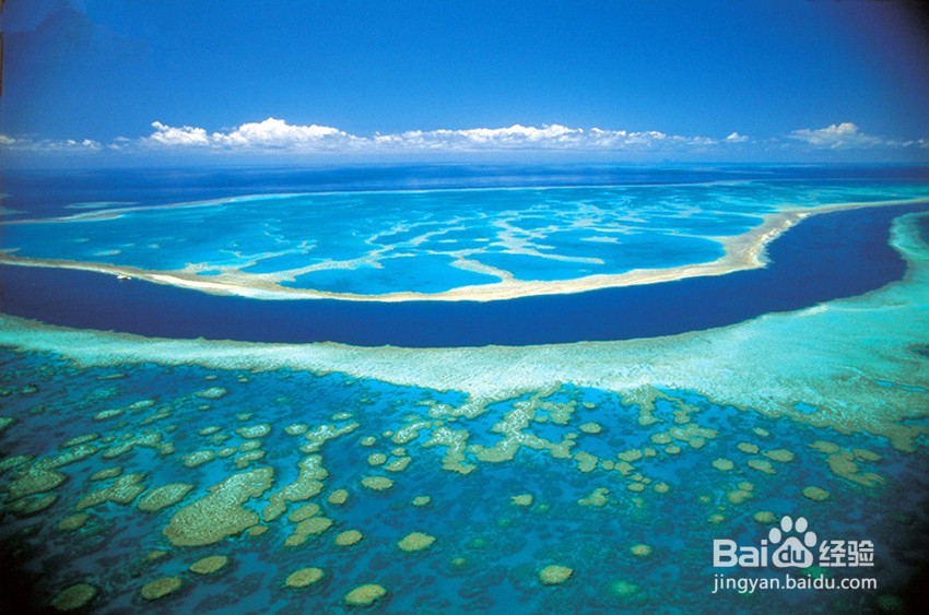 澳大利亚旅游/自由行-俯瞰心形大堡礁&浮潜