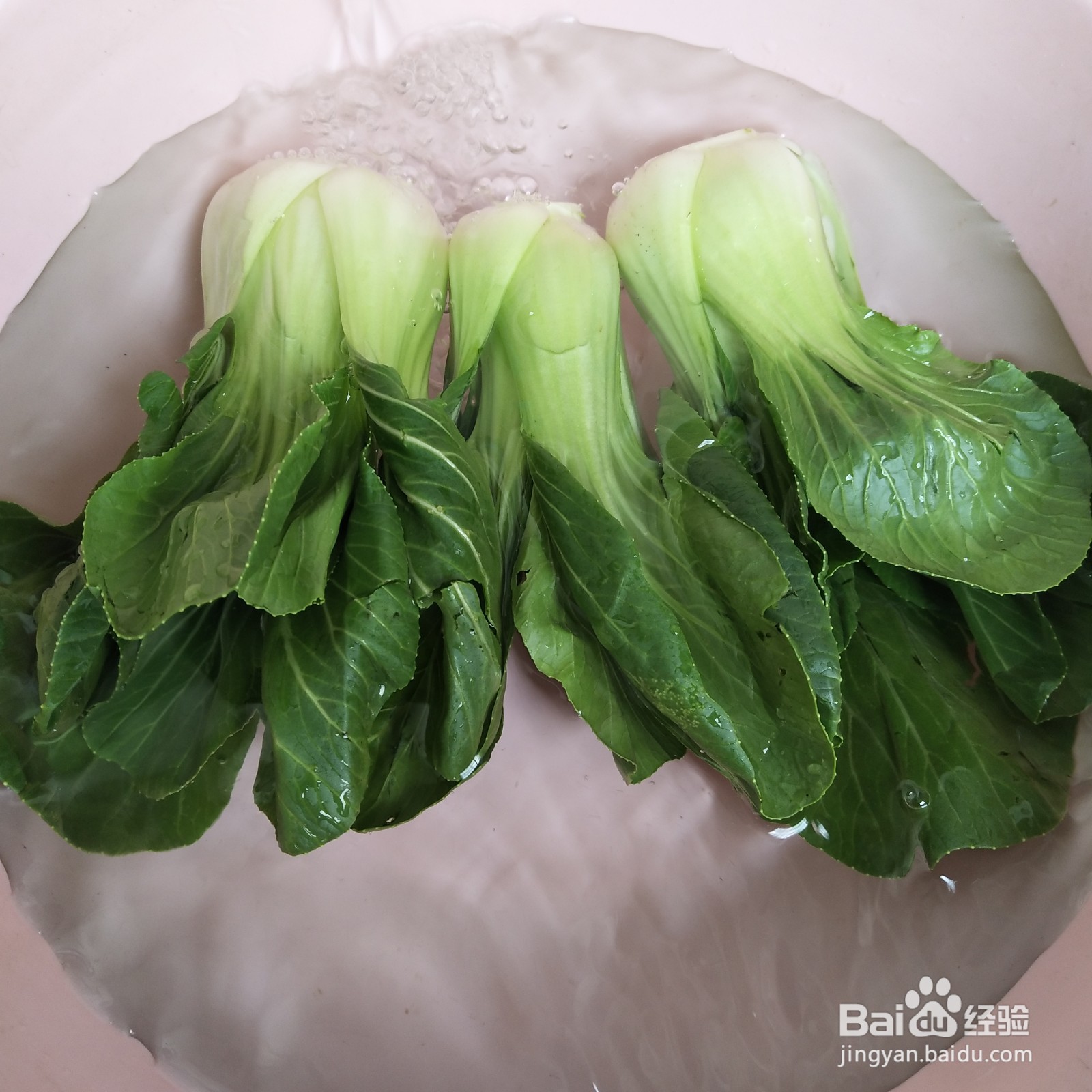 上海青怎么炒比较好吃