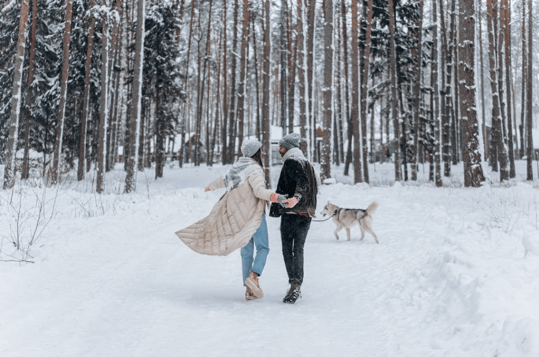 初雪时必做的3件事，你打卡了吗？