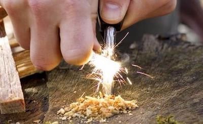 野猪攻击怎么办