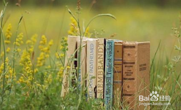 为什么要一年读50本书