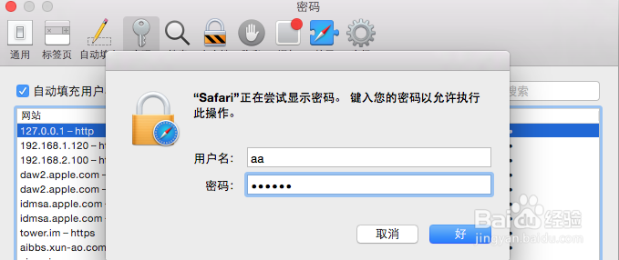 Mac计算机浏览器查看保存的网站密码