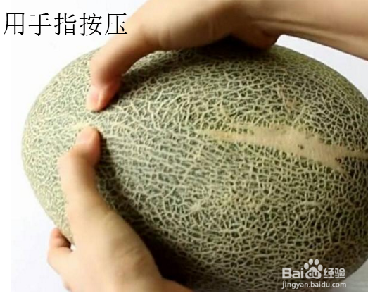 如何买到又香又甜的哈密瓜