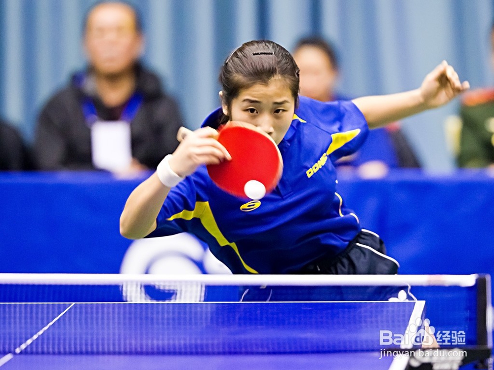 怎样了解乒乓球？