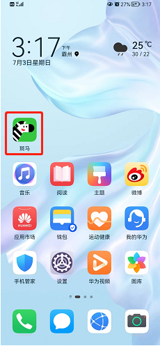 斑马怎么网络诊断？