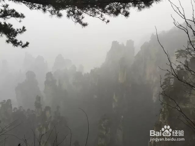 张家界怎样安排自助游好