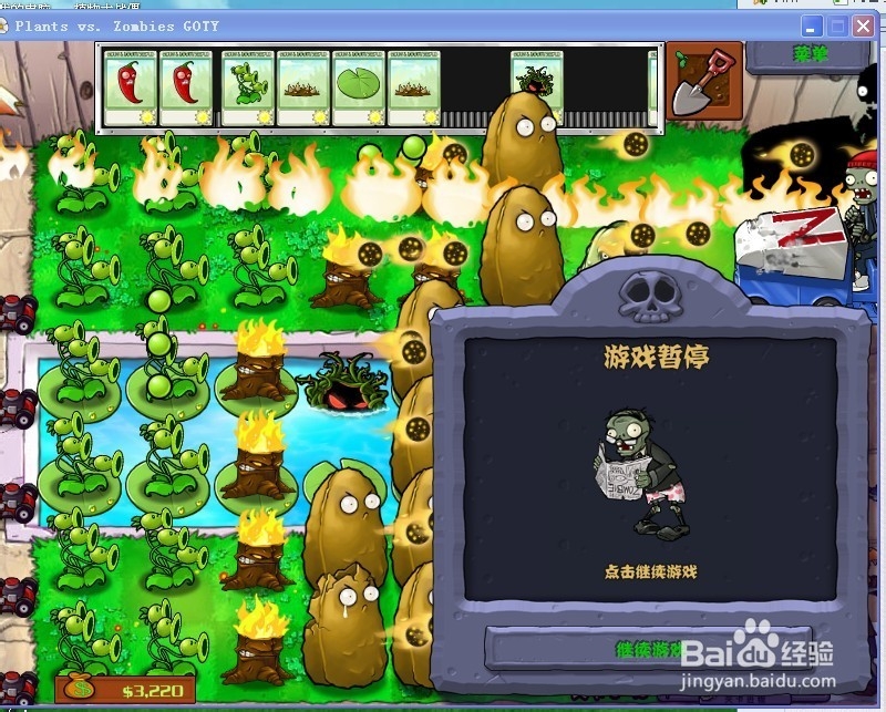 植物大战僵尸快速通关游戏攻略：[49]3-10.1