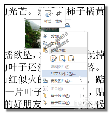如何快速提取WORD文档中的图片