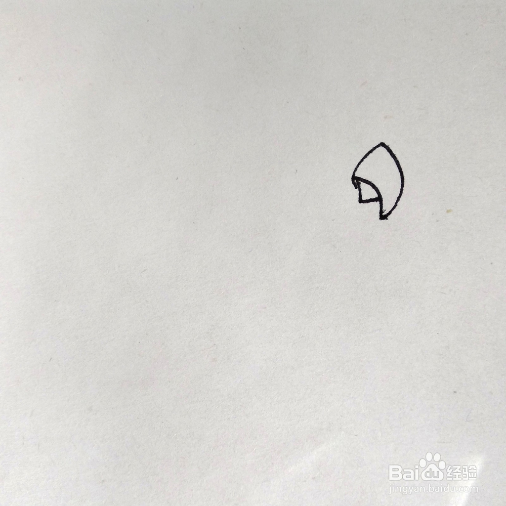 如何画一个好看的鹦鹉巴哥卡通简笔画？