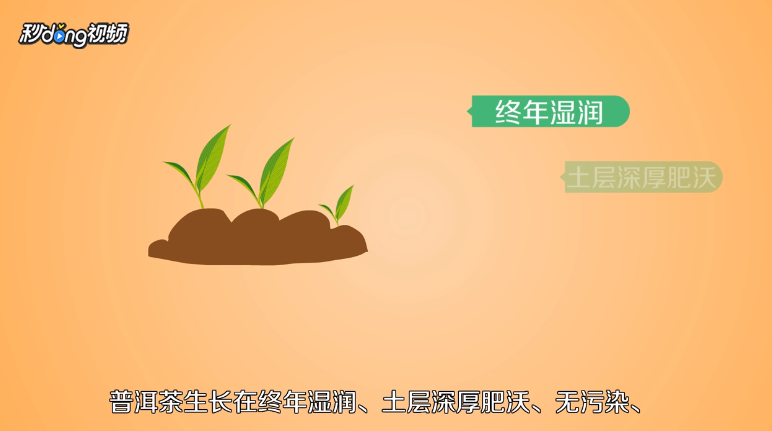 普洱茶的特点有哪些？