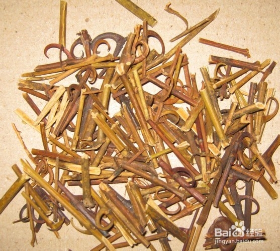 勾藤有什么作用