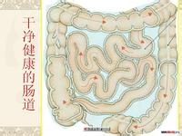如何让腰和肚子三天内变瘦、变小!