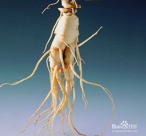 秋季女人吃什么最养颜