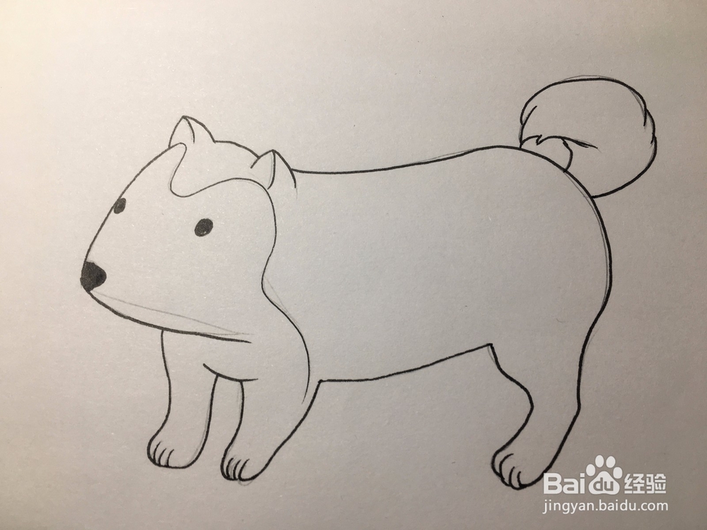 画一只小狗 狗仔简笔画 幼儿简笔画