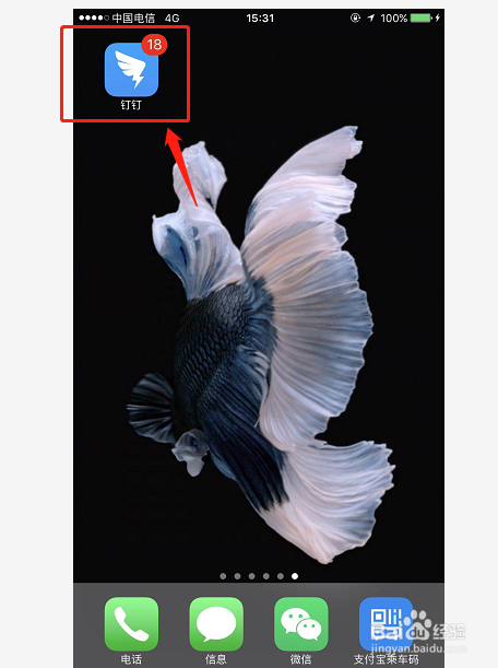 钉钉如何使用手机写日报