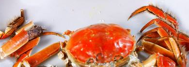 螃蟹的正确吃法，吃干净