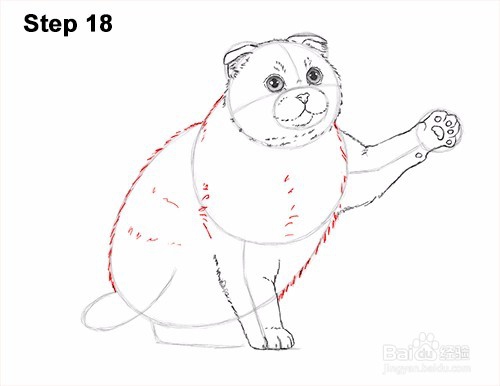 如何画一只猫（苏格兰折）玩——加菲的吃货生活