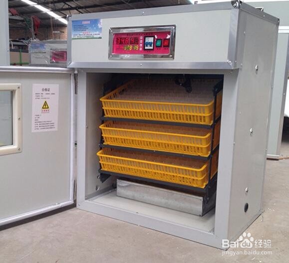 小型孵化机的日常维护方法
