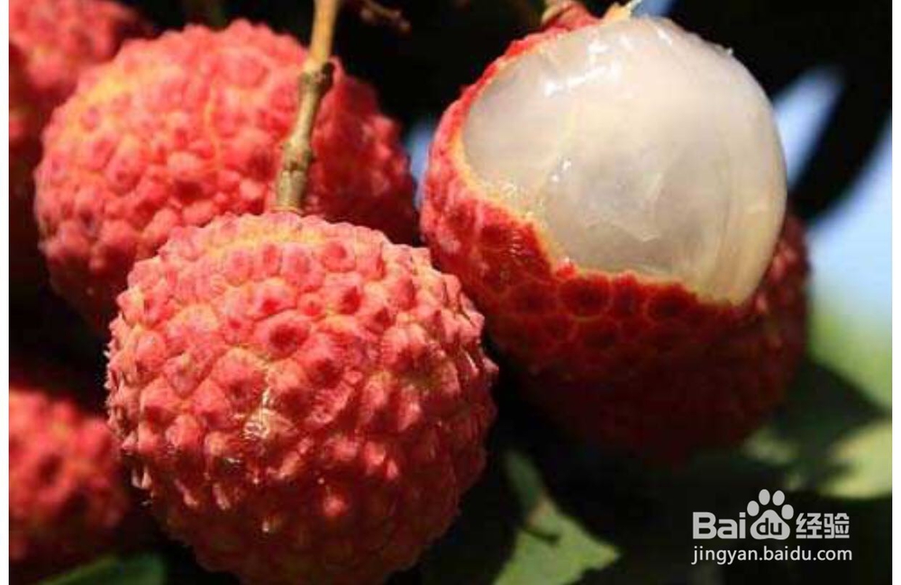 荔枝怎么选才好