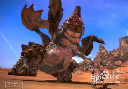 TERA游戏狂战士战斗攻略一