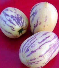 哪种水果含的蛋白质比较高