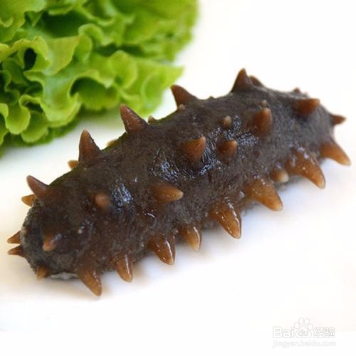 海参如何吃才能真正吸收营养