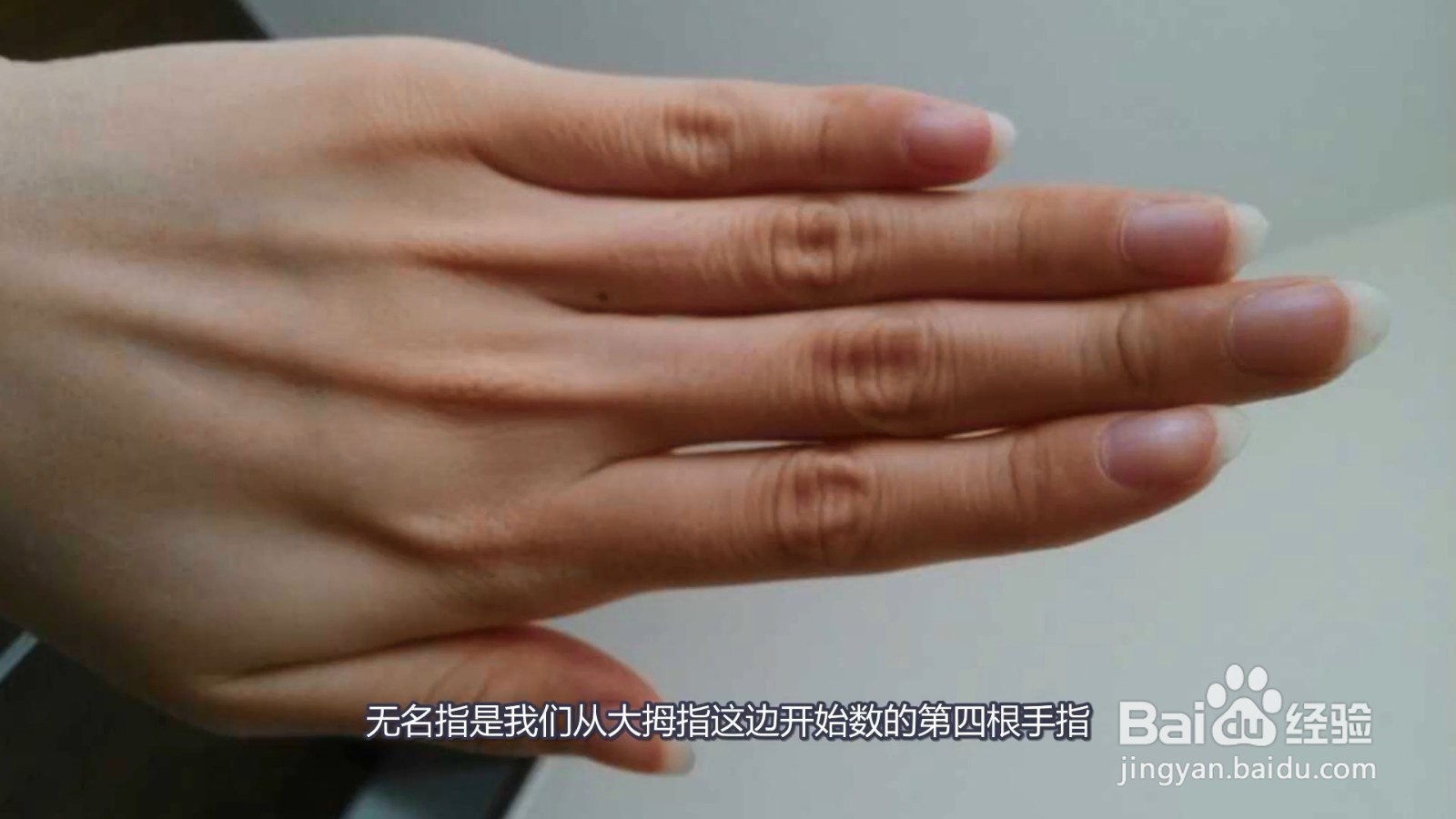 无名指是哪个手指