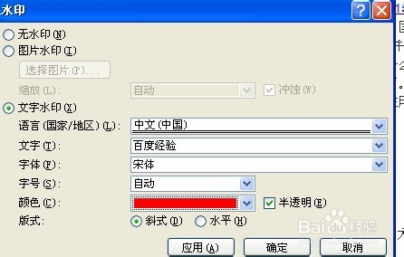 word2007设置水印