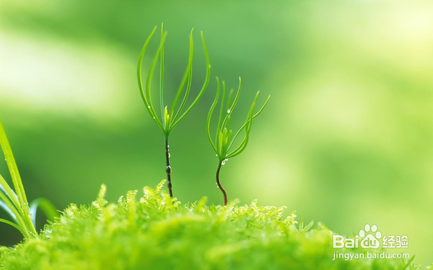 看电脑屏幕模糊重影是怎么回事？