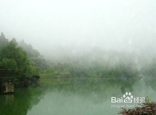 重庆到龙鳞石海旅游—万盛龙鳞石海深度一日游