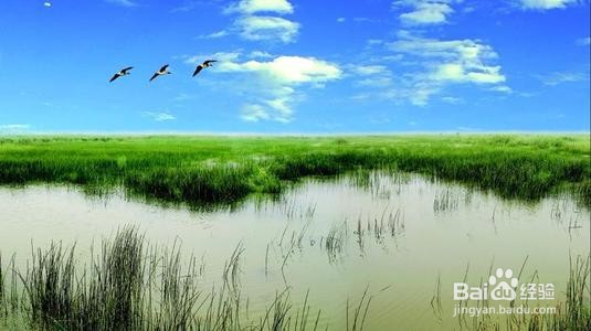 沧州附近好玩的旅游景点有哪些