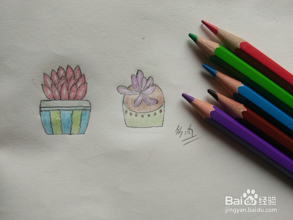 简笔画——怎么画多肉盆栽