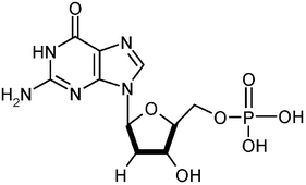 制作DNA平面结构模型