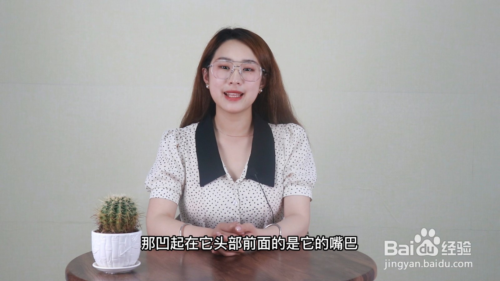 蚯蚓没有眼睛这种说法是