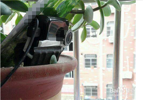 如何利用阳台吸引鸟