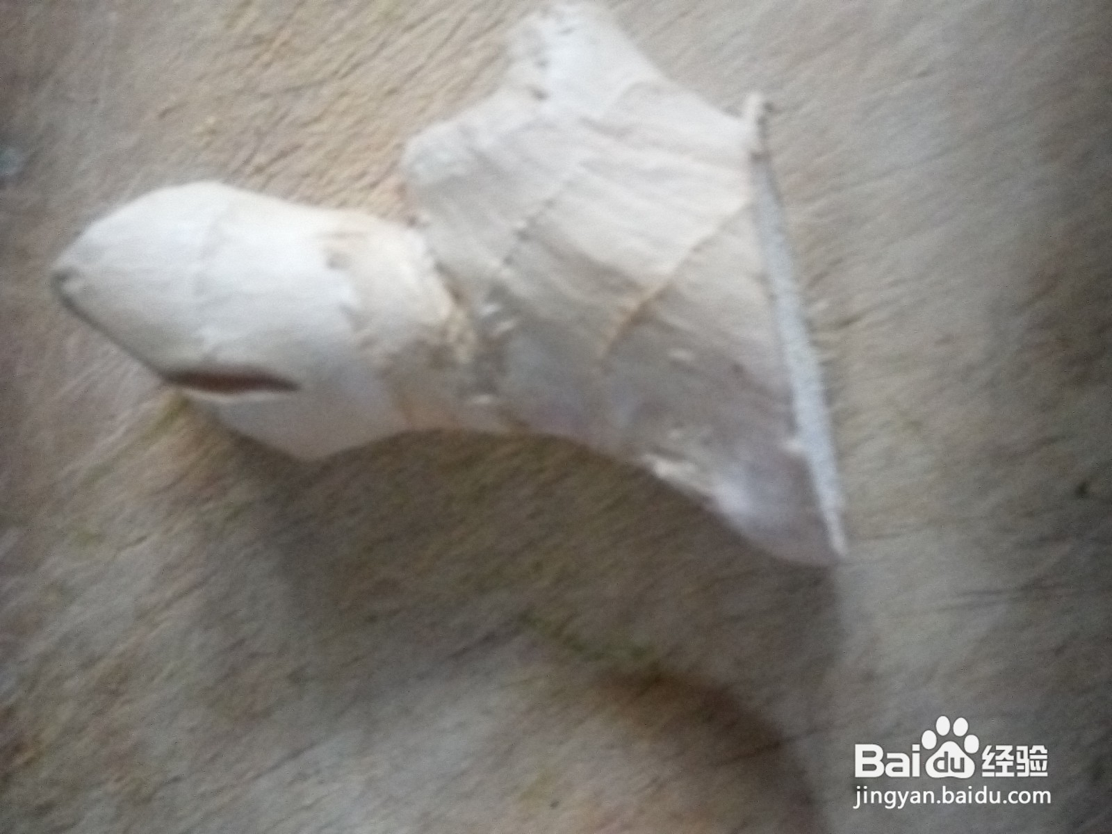 茼蒿鸡蛋干炒小肚