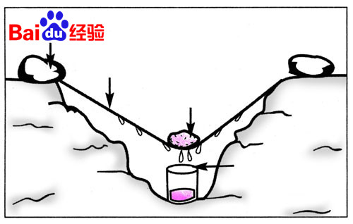 沙漠旅行中没有水或水不够了怎么办?