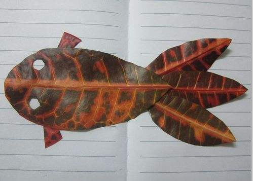 教你如何用叶子制作鱼标本