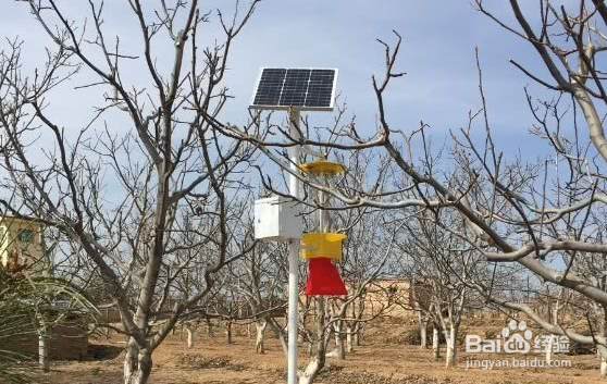 如何选择一款高效能田间杀虫灯？