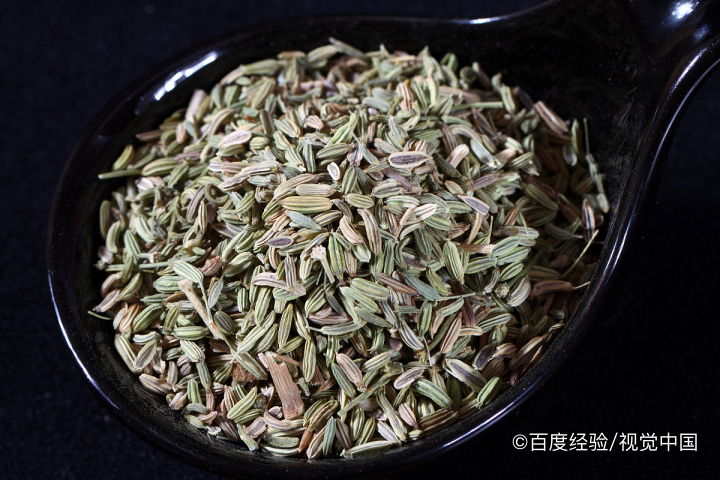 小茴香怎么种植