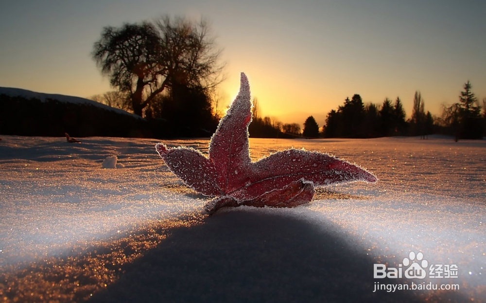 大学如何管理自己