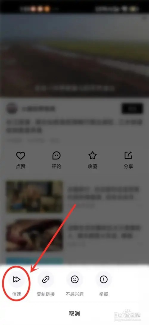 青桃如何设置倍速播放视频