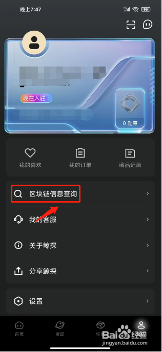 鲸探如何进行查询区块链信息