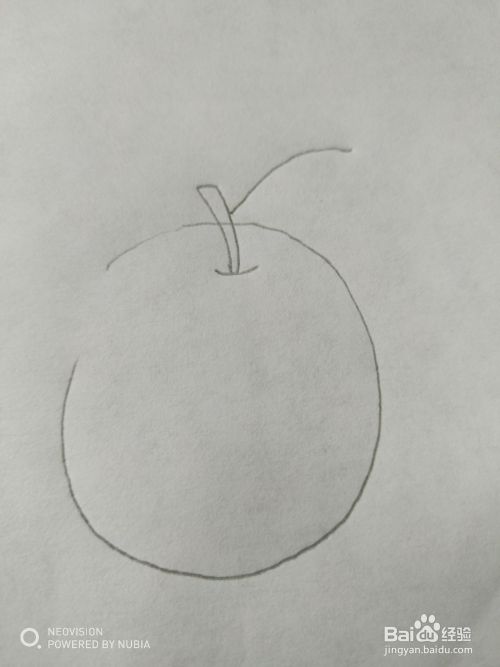 简单的苹果怎么画（七）