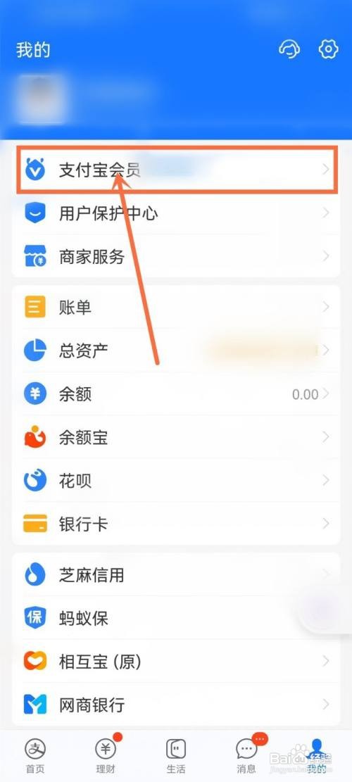 支付宝IP藏品怎么看