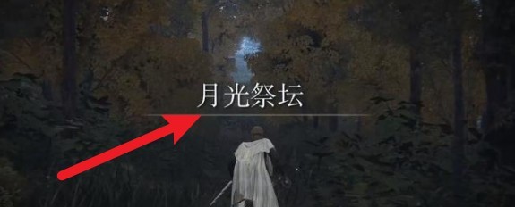 老头环月光大剑怎么拿