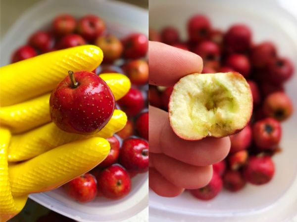 酸奶山楂开胃棒