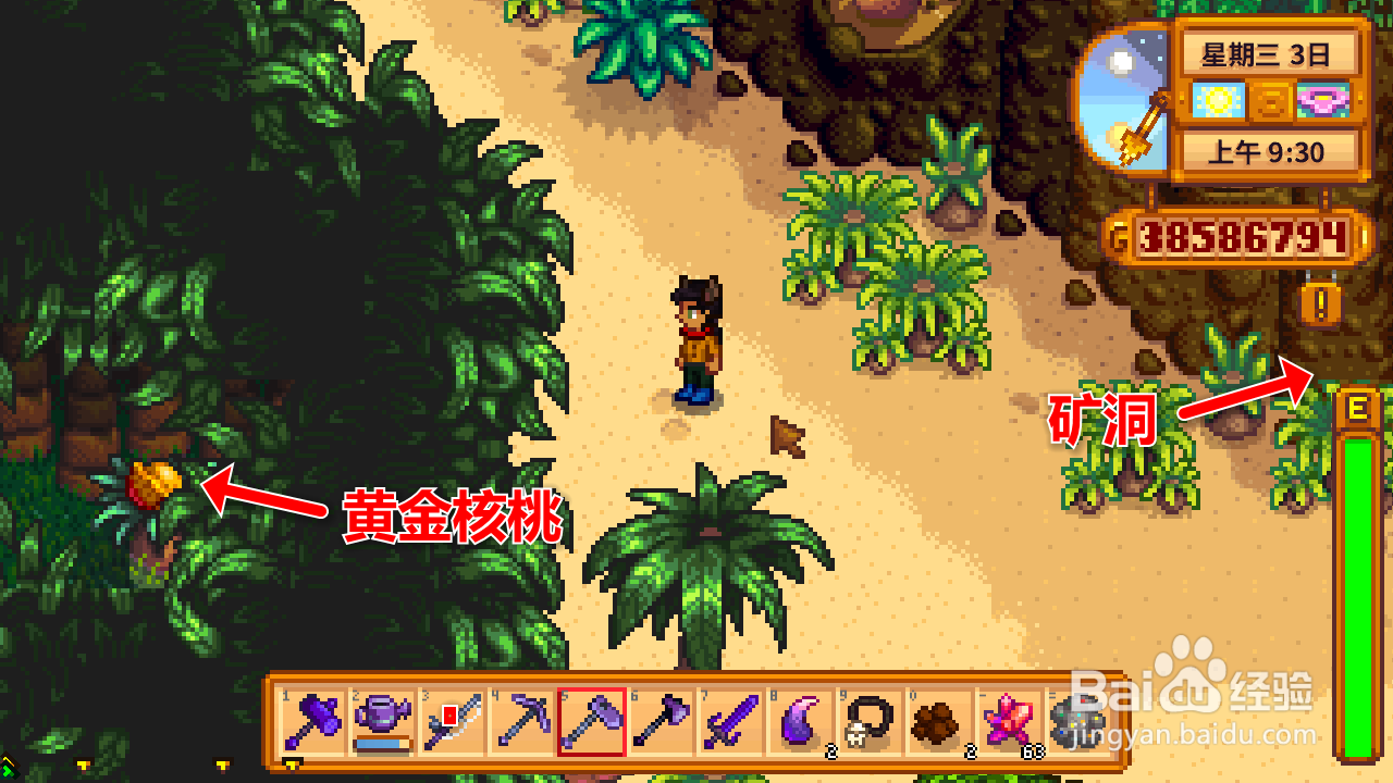 星露谷物语火山矿洞旁的核桃怎么拿