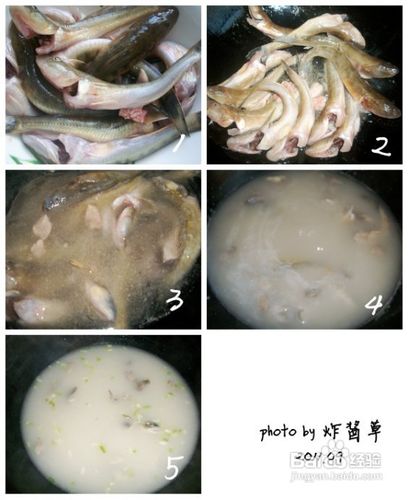 沙光鱼汤的做法